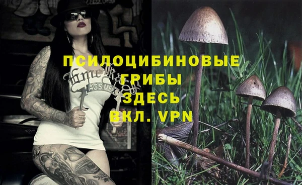 ешки Богданович