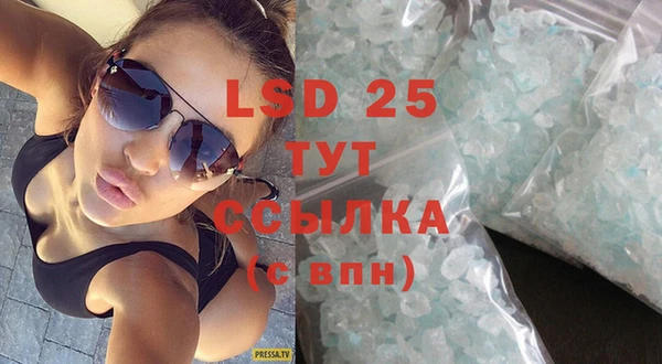 прущие грибы Богородицк