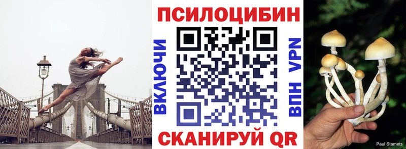 купить наркоту  ссылка на мегу как зайти  Псилоцибиновые грибы Psilocybine cubensis  Советская Гавань 