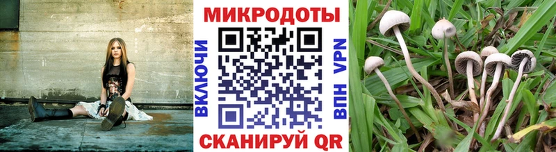 Псилоцибиновые грибы прущие грибы Советская Гавань