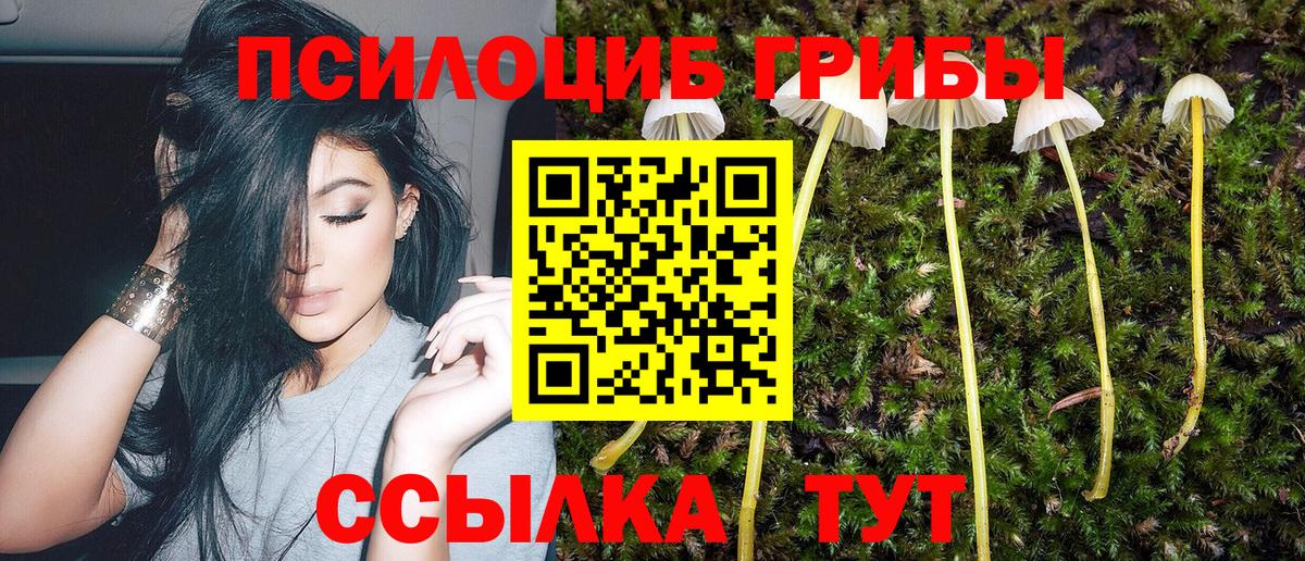 Галлюциногенные грибы мухоморы  Советская Гавань 