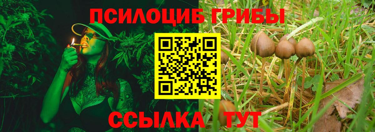  Кокаин Советская Гавань