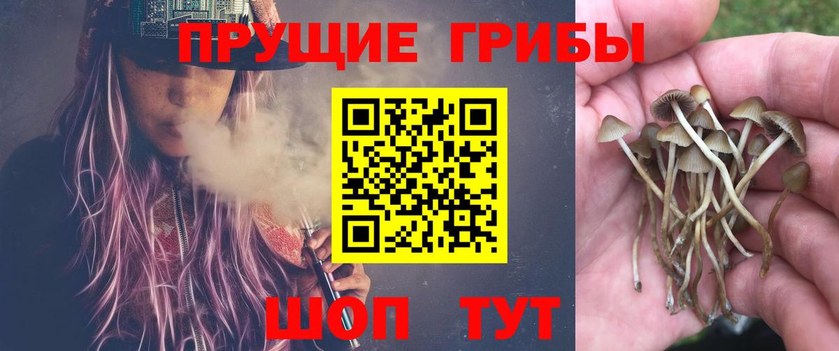 Псилоцибиновые грибы мицелий  даркнет сайт  Советская Гавань  Псилоцибиновые грибы Magic Shrooms  Вход с VPN 